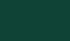 Green moss RAL 6005