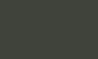 Gray-olive RAL 6006