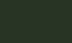 Bottle green RAL 6007