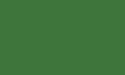 Grass green RAL 6010