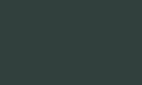 Black green RAL 6012