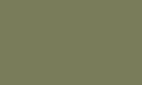 Reed green RAL 6013