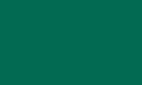 Turquoise green RAL 6016