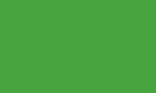 Yellow green RAL 6018