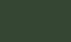 Chrome green RAL 6020