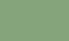 Pale green RAL 6021