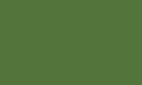 Fern green RAL 6025