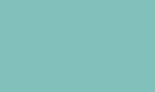 Light green RAL 6027