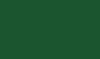 Pearl green RAL 6035